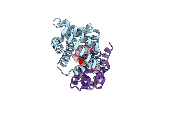 8U5A image