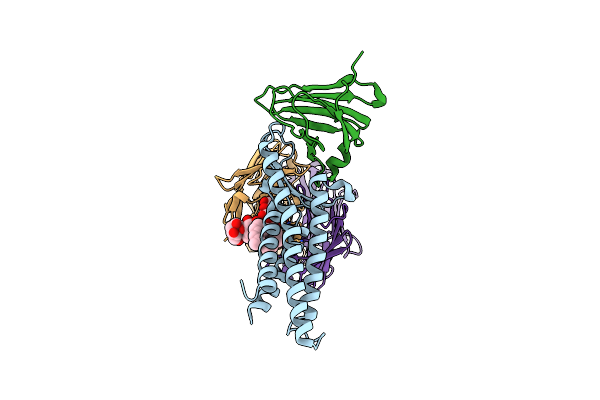 8U5B image