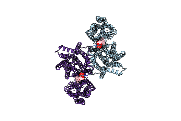 8U5C image