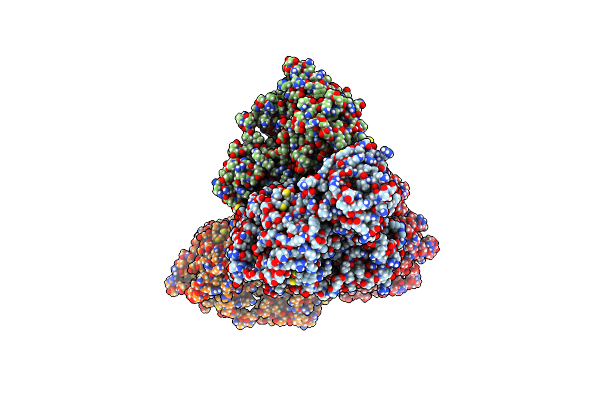 8U61 image