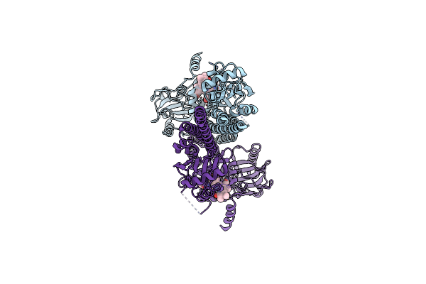 8U62 image
