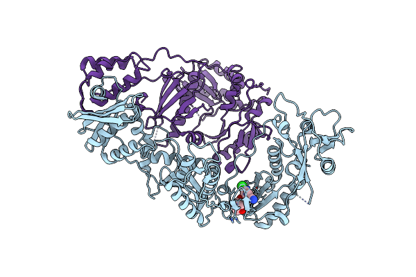 8U6M image