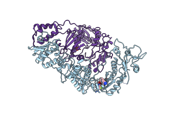 8U6R image