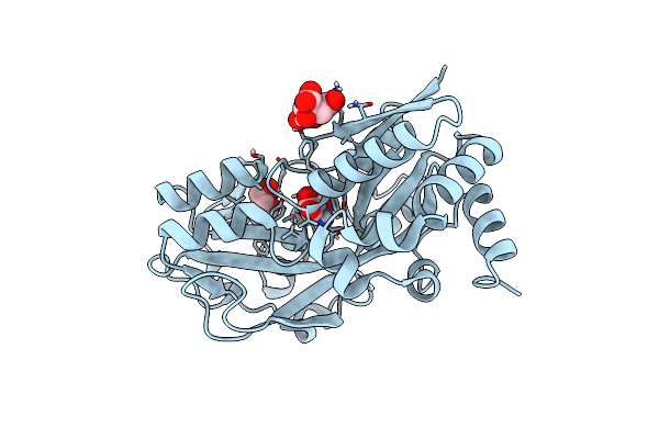 8U79 image