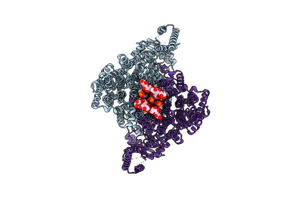8U7R image