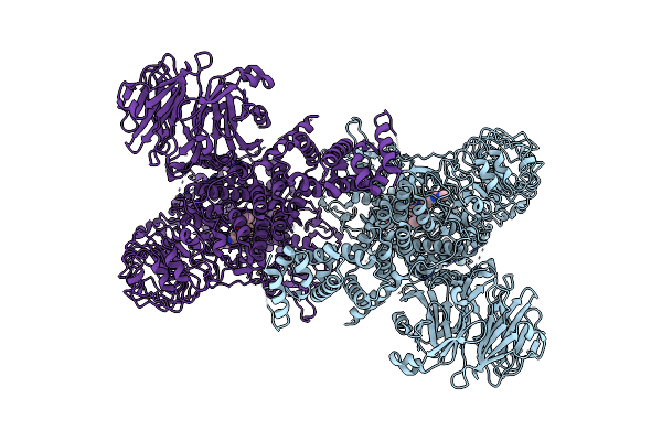 8U8B image