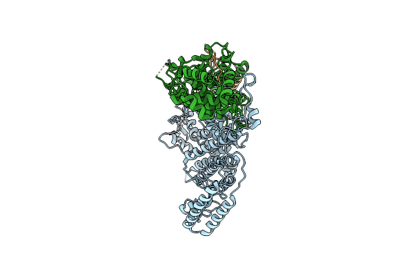 8U8D image