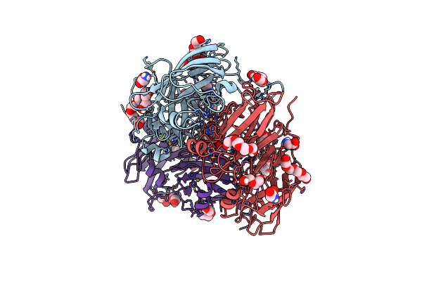 8U8P image
