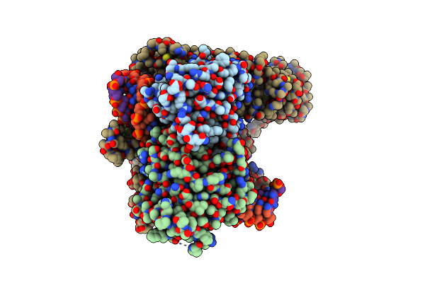8U8V image