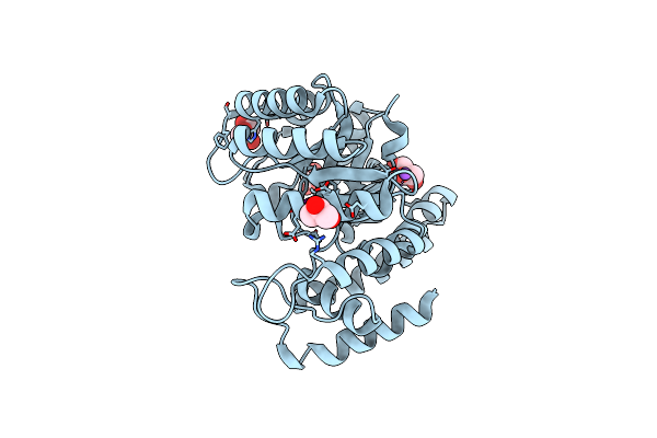 8U8W image