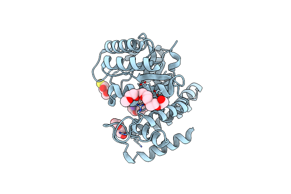 8U93 image
