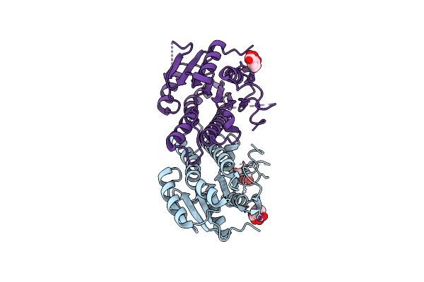 8U9A image