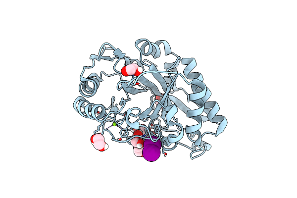 8U9F image