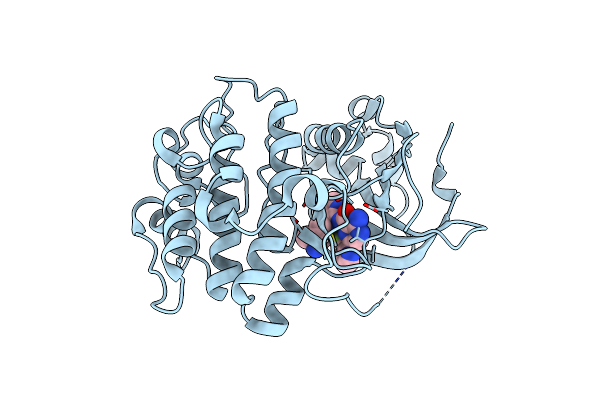 8UAK image