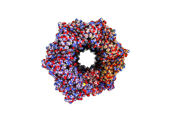 8UAO image