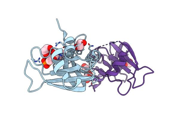 8UB2 image
