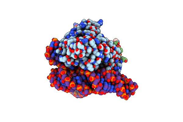8UBF image