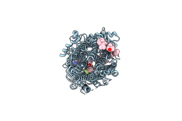 8UBR image