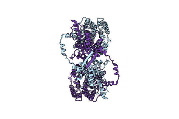 8UC1 image