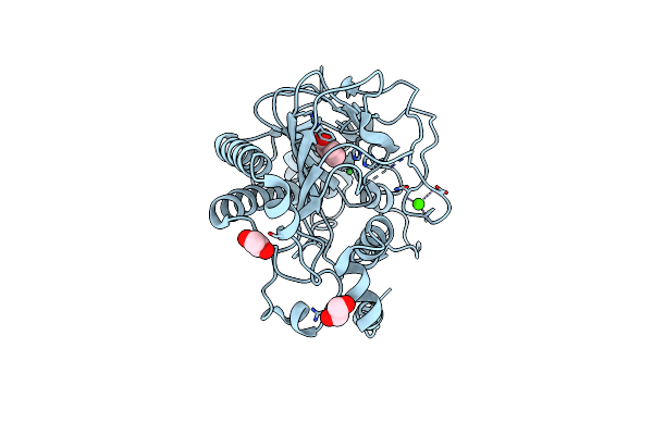 8UC2 image