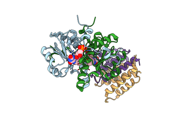 8UC3 image
