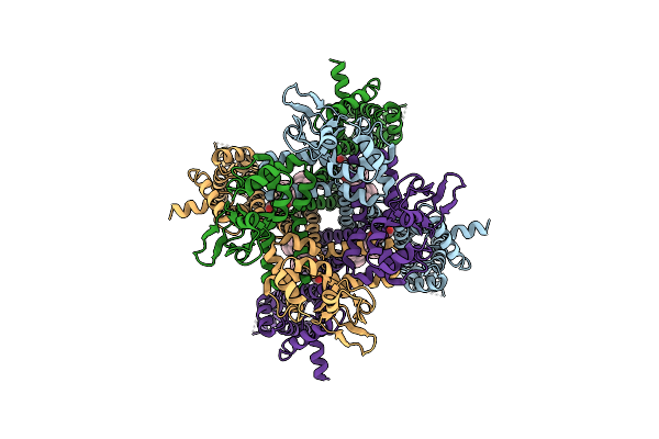 8UC8 image