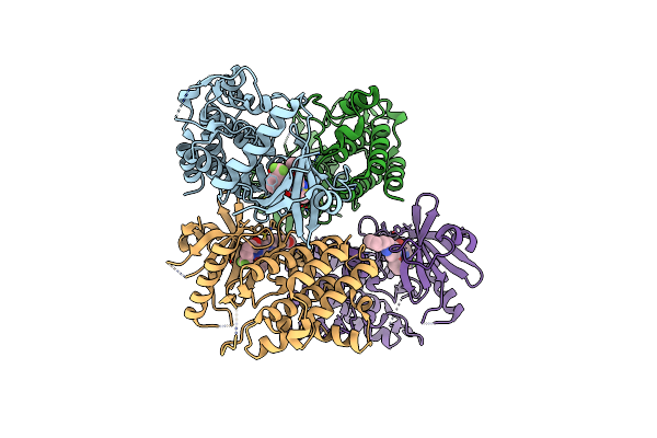 8UCB image