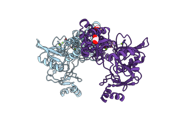 8UCG image