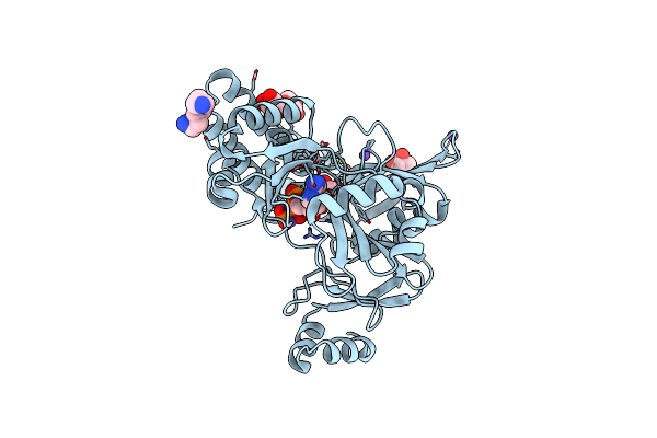 8UCH image