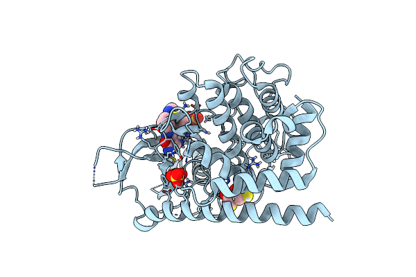8UCT image