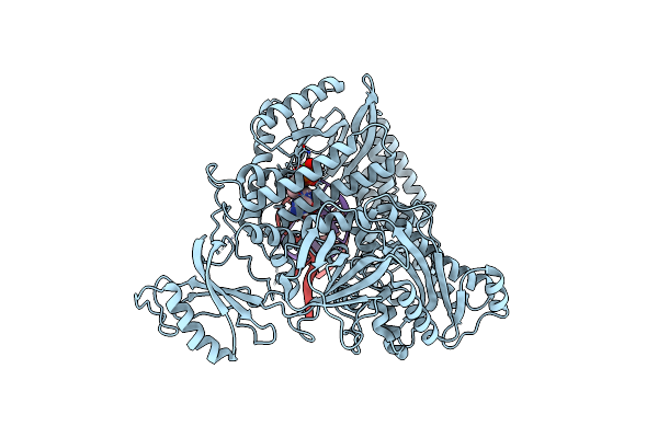 8UCU image