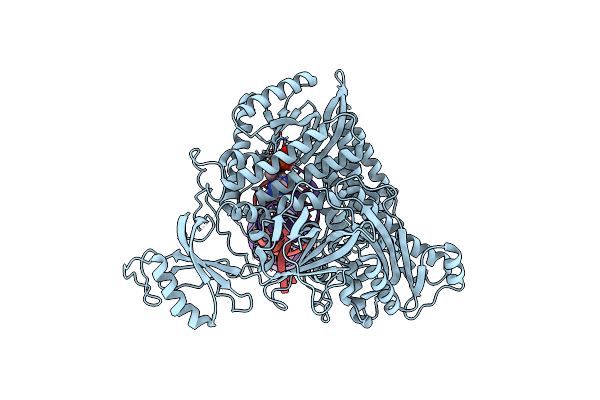 8UCW image
