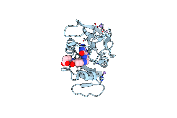 8UCX image
