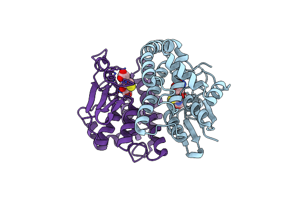 8UDB image