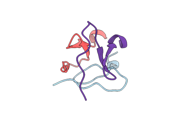 8UDN image