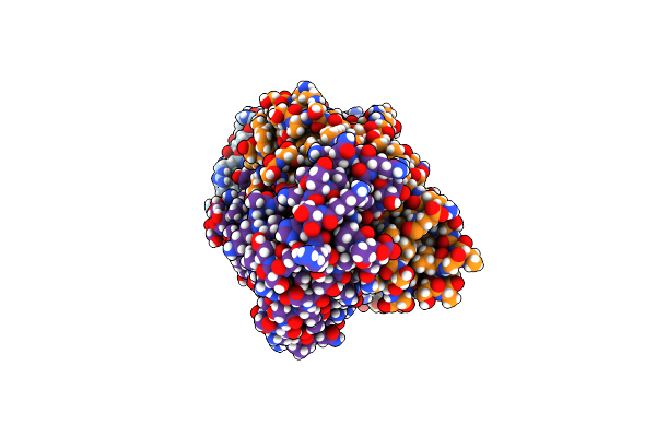 8UDR image
