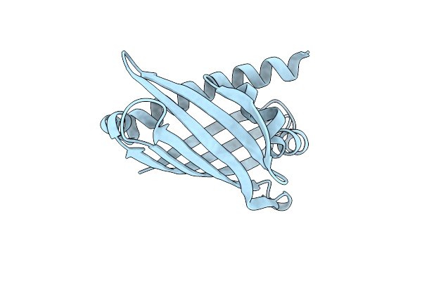 8UDS image