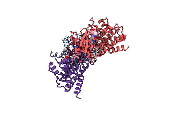 8UDT image
