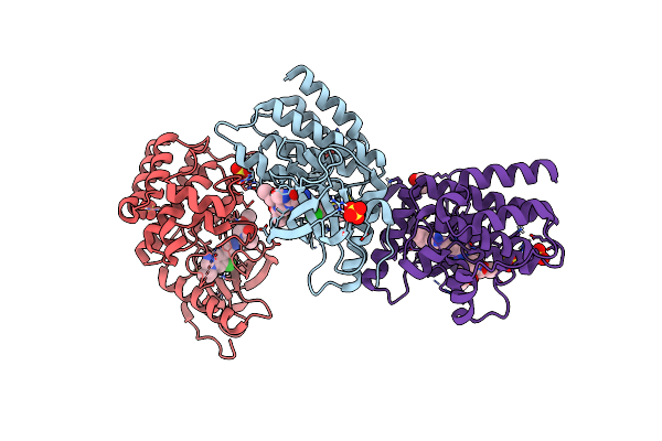 8UDV image