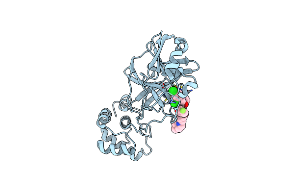 8UDX image