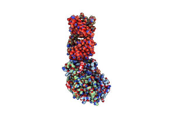 8UDZ image