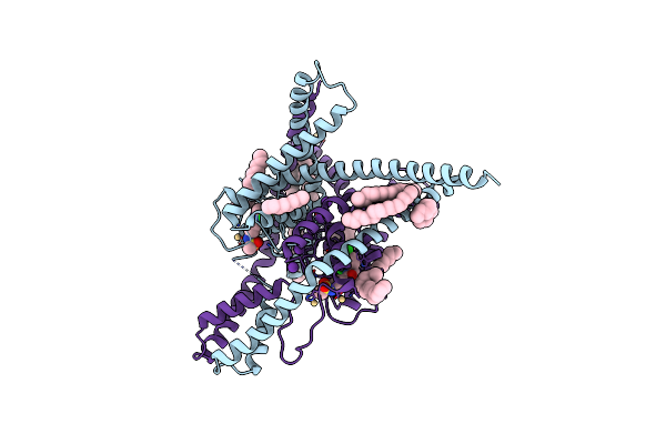 8UE2 image
