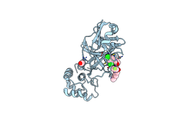 8UEB image