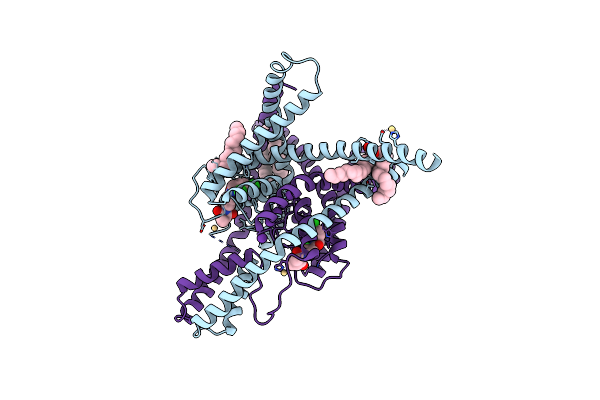 8UEC image