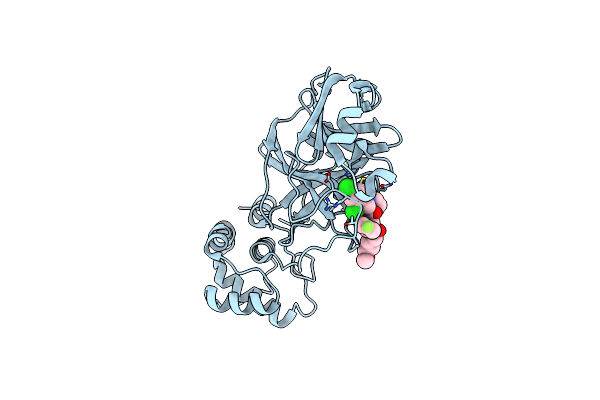 8UEF image