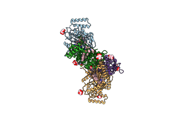 8UFU image