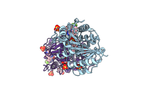 8UG1 image