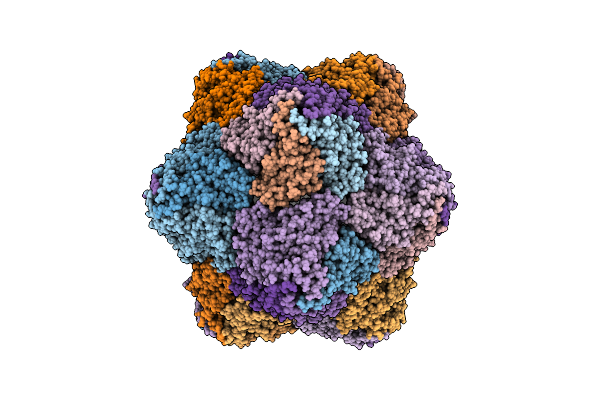 8UH4 image