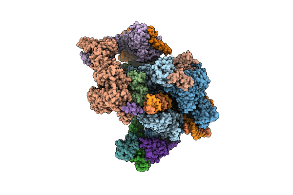 8UHG image