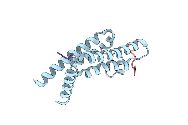 8UHL image